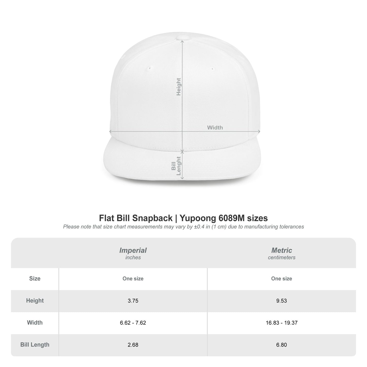 Ladybug Logo Snapback Hat — Cute Red Ladybird Flat Bill Cap